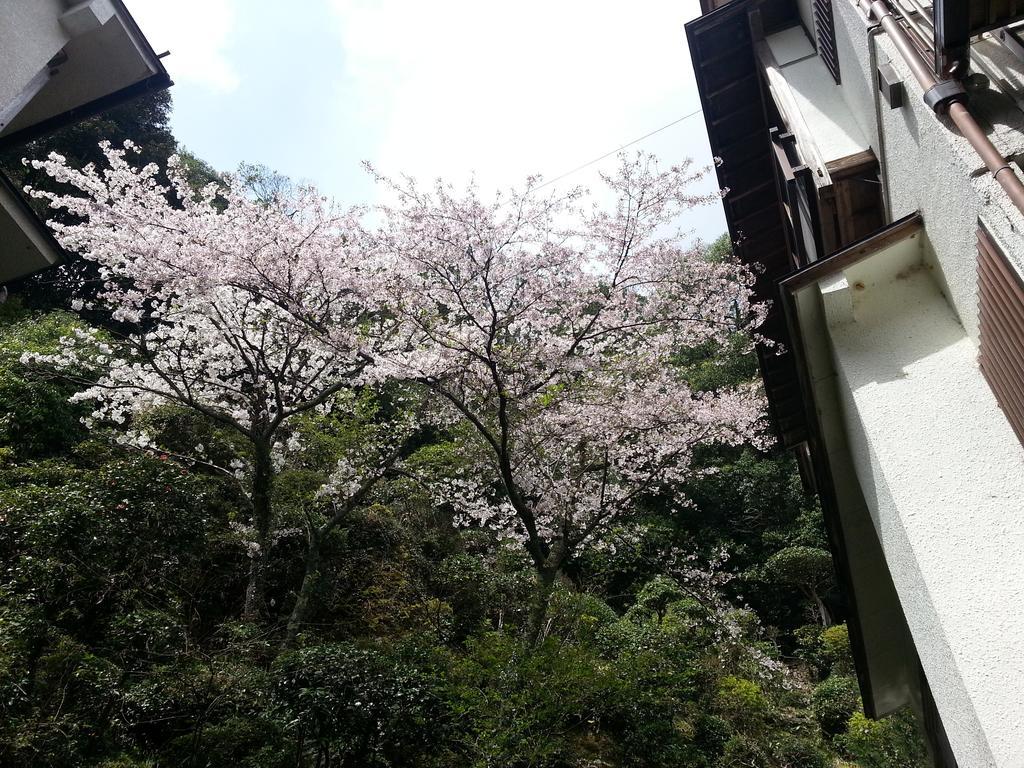 Tsukimotoya Ryokan Toyooka  Exterior photo